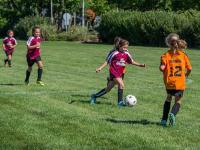 沃尔夫斯堡VS门兴格拉德巴赫直播「五大联赛」今日14场：巴萨轮换暗藏风险，利物浦崩盘的量化评估