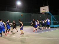 悉尼VS奥克兰直播