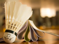 巴黎VS拜仁直播